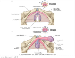viernes 12 de noviembre de 2010
 