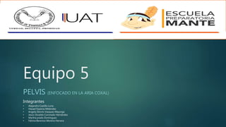 Equipo 5
PELVIS (ENFOCADO EN LA ARIA COXAL)
Integrantes
• Alejandro Castillo Luna
• Hazael Esparza Melendez
• Angela Dennis Vazquez Mayorga
• Jesús Osvaldo Coronado Hernández
• Martha prado Domínguez
• Fátima Berenice Moreno Herrera
 