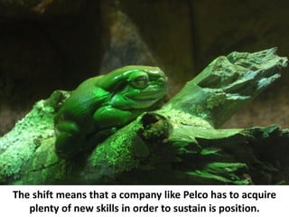 The shift means that a company like Pelco has to acquire
   plenty of new skills in order to sustain is position.
 