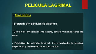 ●Capa lipídica
- Secretada por glándulas de Meibomio
- Contenido: Principalmente esters, esterol y monoesteres de
cera.
- Estabiliza la película lacrimal, incrementando la tensión
superficial y retardando la evaporización
PELICULA LAGRIMAL
 