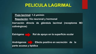 ●Flujo lacrimal: 1.2 µm/min
●Regulación: Vía neuronal y hormonal
Inervación directa de glándula lacrimal (receptores M3
colinérgicos)
Estrógeno Rol de apoyo en la superficie ocular
Andrógenos Efecto positivo en secreción de la
parte acuosa y lipidica
PELICULA LAGRIMAL
 
