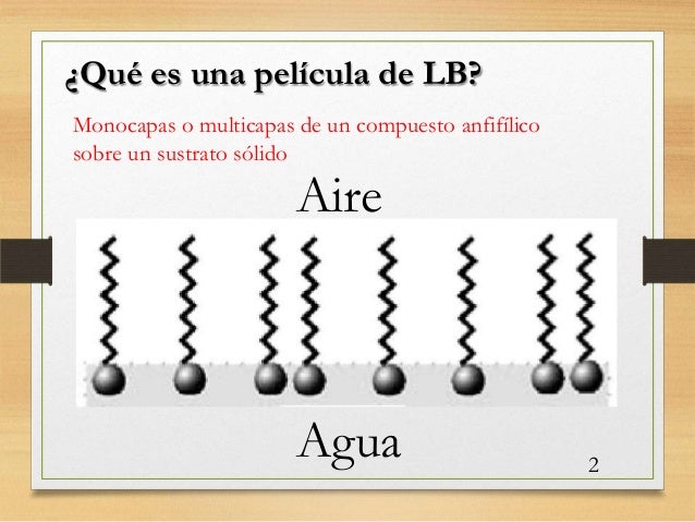 Películas de langmuir blodgett