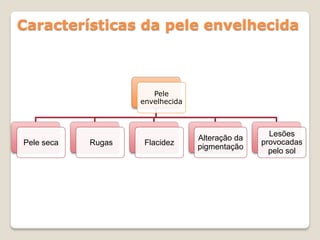 Características da pele envelhecida



                       Pele
                    envelhecida



                                                   Lesões
                                  Alteração da
Pele seca   Rugas    Flacidez                    provocadas
                                  pigmentação
                                                   pelo sol
 