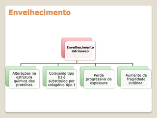 Envelhecimento



                          Envelhecimento
                            intrínseco




Alterações na    Colagénio tipo
                                       Perda        Aumento da
  estrutura          III é
                                   progressiva da    fragilidade
 química das    substituído por
                                     espessura        cutânea.
  proteínas     colagénio tipo I
 