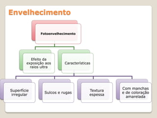 Envelhecimento

               Fotoenvelhecimento




           Efeito da
        exposição aos      Características
          raios ultra




                                                   Com manchas
Superfície                               Textura
                 Sulcos e rugas                    e de coloração
 irregular                               espessa
                                                     amarelada
 