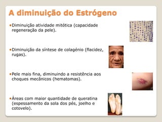 A diminuição do Estrógeno
Diminuição atividade mitótica (capacidade
regeneração da pele).



Diminuição da síntese de colagénio (flacidez,
rugas).



Pele mais fina, diminuindo a resistência aos
choques mecânicos (hematomas).



Áreas com maior quantidade de queratina
(espessamento da sola dos pés, joelho e
cotovelo).
 