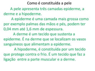 Como é constituída a pele
    A pele apresenta três camadas epiderme, a
derme e a hipoderme.
     A epiderme é uma camada mais grossa como
por exemplo palmas das mãos e pés, podem ter
0,04 mm até 1,6 mm de espessura.
      A derme é um tecido que sustenta a
epiderme. É na derme que se localizam os vasos
sanguíneos que alimentam a epiderme.
      A hipoderme, é constituída por um tecido
que protege contra o frio. É um tecido que faz a
ligação entre a parte muscular e a derme.
 