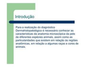 Introdução
Para a realização do diagnóstico
Dermahistopatológico é necessário conhecer as
características da anatomia microscópica da pele
de diferentes espécies animais, assim como as
particularidades que existem em relação às regiões
anatômicas, em relação a algumas raças e cores de
animais.
 