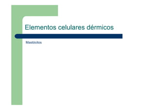 Elementos celulares dérmicos
Mastócitos
 
