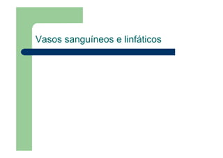 Vasos sanguíneos e linfáticos
 