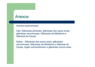 Anexos
Glândula especializadas
Cão: Glândulas perianais, glândulas dos sacos anais,
glândulas ceruminosas, Glândulas de Meibômio e
Glândula da Cauda.
Gatos: : Glândulas dos sacos anais, glândulas
ceruminosas, Glândulas de Meibômio e Glândula da
Cauda, órgão submentoniano e glândulas circum-orais.
 