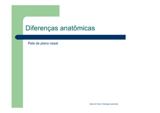Diferenças anatômicas
Pele de plano nasal
Bacha & Wood: Histologia veterinária
 