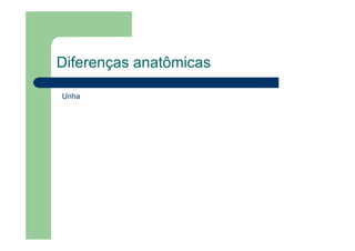 Diferenças anatômicas
Unha
 