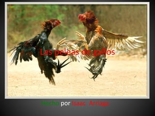Las peleas de gallos
Hecho por Isaac Arriaga
 