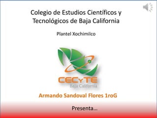 Armando Sandoval Flores 1roG
Colegio de Estudios Científicos y
Tecnológicos de Baja California
Plantel Xochimilco
Presenta…
 