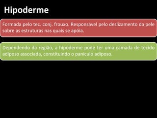 Hipoderme
Formada pelo tec. conj. frouxo. Responsável pelo deslizamento da pele
sobre as estruturas nas quais se apóia.


Dependendo da região, a hipoderme pode ter uma camada de tecido
adiposo associada, constituindo o panículo adiposo.
 