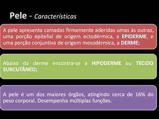 Pele - Características
 