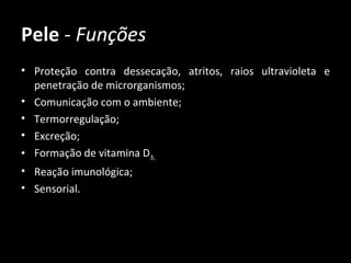 Pele - Funções
• Proteção contra dessecação, atritos, raios ultravioleta e
  penetração de microrganismos;
• Comunicação com o ambiente;
• Termorregulação;
• Excreção;
• Formação de vitamina D3;
• Reação imunológica;
• Sensorial.
 