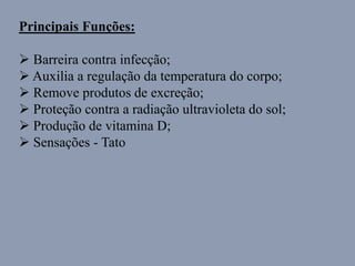 Principais Funções:
 Barreira contra infecção;
 Auxilia a regulação da temperatura do corpo;
 Remove produtos de excreção;
 Proteção contra a radiação ultravioleta do sol;
 Produção de vitamina D;
 Sensações - Tato
 
