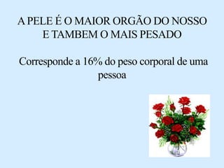 APELE É O MAIOR ORGÃO DO NOSSO
E TAMBEM O MAIS PESADO
Corresponde a 16% do peso corporal de uma
pessoa
 