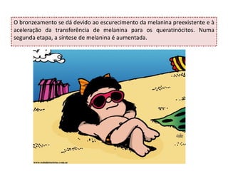 O bronzeamento se dá devido ao escurecimento da melanina preexistente e à
aceleração da transferência de melanina para os queratinócitos. Numa
segunda etapa, a síntese de melanina é aumentada.
 