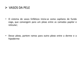  VASOS DA PELE
• O sistema de vasos linfáticos inicia-se como capilares de fundo
cego, que convergem para um plexo entre as camadas papilar e
reticular;
• Desse plexo, partem ramos para outro plexo entre a derme e a
hipoderme
 