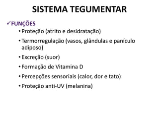 SISTEMA TEGUMENTAR
FUNÇÕES
   • Proteção (atrito e desidratação)
    • Termorregulação (vasos, glândulas e panículo
      adiposo)
    • Excreção (suor)
    • Formação de Vitamina D
    • Percepções sensoriais (calor, dor e tato)
    • Proteção anti-UV (melanina)
 