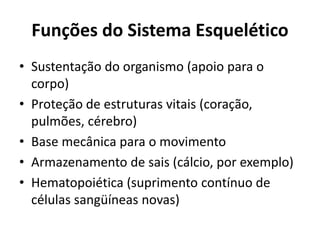 Funções do Sistema Esquelético
• Sustentação do organismo (apoio para o
corpo)
• Proteção de estruturas vitais (coração,
pulmões, cérebro)
• Base mecânica para o movimento
• Armazenamento de sais (cálcio, por exemplo)
• Hematopoiética (suprimento contínuo de
células sangüíneas novas)
 