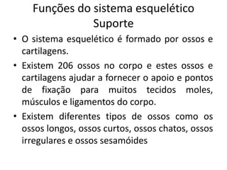 Funções do sistema esquelético
Suporte
• O sistema esquelético é formado por ossos e
cartilagens.
• Existem 206 ossos no corpo e estes ossos e
cartilagens ajudar a fornecer o apoio e pontos
de fixação para muitos tecidos moles,
músculos e ligamentos do corpo.
• Existem diferentes tipos de ossos como os
ossos longos, ossos curtos, ossos chatos, ossos
irregulares e ossos sesamóides
 