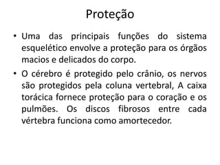 Proteção
• Uma das principais funções do sistema
esquelético envolve a proteção para os órgãos
macios e delicados do corpo.
• O cérebro é protegido pelo crânio, os nervos
são protegidos pela coluna vertebral, A caixa
torácica fornece proteção para o coração e os
pulmões. Os discos fibrosos entre cada
vértebra funciona como amortecedor.
 