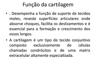 Função da cartilagem
• . Desempenha a função de suporte de tecidos
moles, reveste superfícies articulares onde
absorve choques, facilita os deslizamentos e é
essencial para a formação e crescimento dos
ossos longos.
• A cartilagem é um tipo de tecido conjuntivo
composto exclusivamente de células
chamadas condrócitos e de uma matriz
extracelular altamente especializada.
 