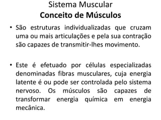 Sistema Muscular
Conceito de Músculos
• São estruturas individualizadas que cruzam
uma ou mais articulações e pela sua contração
são capazes de transmitir-lhes movimento.
• Este é efetuado por células especializadas
denominadas fibras musculares, cuja energia
latente é ou pode ser controlada pelo sistema
nervoso. Os músculos são capazes de
transformar energia química em energia
mecânica.
 
