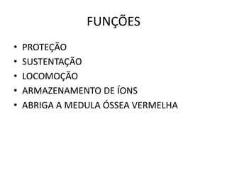 FUNÇÕES
• PROTEÇÃO
• SUSTENTAÇÃO
• LOCOMOÇÃO
• ARMAZENAMENTO DE ÍONS
• ABRIGA A MEDULA ÓSSEA VERMELHA
 