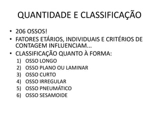 QUANTIDADE E CLASSIFICAÇÃO
• 206 OSSOS!
• FATORES ETÁRIOS, INDIVIDUAIS E CRITÉRIOS DE
CONTAGEM INFLUENCIAM...
• CLASSIFICAÇÃO QUANTO À FORMA:
1) OSSO LONGO
2) OSSO PLANO OU LAMINAR
3) OSSO CURTO
4) OSSO IRREGULAR
5) OSSO PNEUMÁTICO
6) OSSO SESAMOIDE
 