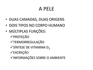 A PELE
• DUAS CAMADAS, DUAS ORIGENS
• DOIS TIPOS NO CORPO HUMANO
• MÚLTIPLAS FUNÇÕES:
PROTEÇÃO
TERMORREGULAÇÃO
SÍNTESE DE VITAMINA D3
EXCREÇÃO
INFORMAÇÕES SOBRE O AMBIENTE
 