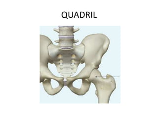 QUADRIL
 