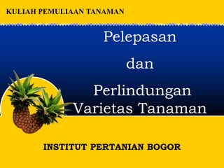 INSTITUT PERTANIAN BOGOR
pendahuluan
Pelepasan
dan
Perlindungan
Varietas Tanaman
KULIAH PEMULIAAN TANAMAN
 