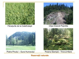 Fânaţurile de la Calafindeşti                    Clipa triasică Pojorâta




Piatra Pinului – Gura Humorului            Poiana Stampei - Tinovul Mare
                            Rezervaţii naturale
 