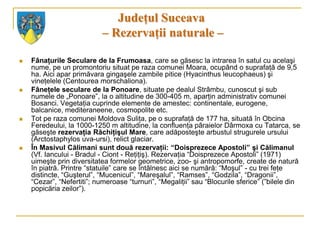 Judeţul Suceava
                            – Rezervaţii naturale –

   Fânaţurile Seculare de la Frumoasa, care se găsesc la intrarea în satul cu acelaşi
    nume, pe un promontoriu situat pe raza comunei Moara, ocupând o suprafaţă de 9,5
    ha. Aici apar primăvara gingaşele zambile pitice (Hyacinthus leucophaeus) şi
    vineţelele (Centourea morschaliona).
   Fâneţele seculare de la Ponoare, situate pe dealul Strâmbu, cunoscut şi sub
    numele de „Ponoare”, la o altitudine de 300-405 m, aparţin administrativ comunei
    Bosanci. Vegetaţia cuprinde elemente de amestec: continentale, eurogene,
    balcanice, mediteraneene, cosmopolite etc.
   Tot pe raza comunei Moldova Suliţa, pe o suprafaţă de 177 ha, situată în Obcina
    Feredeului, la 1000-1250 m altitudine, la confluenţa pâraielor Dârmoxa cu Tatarca, se
    găseşte rezervaţia Răchiţişul Mare, care adăposteşte arbustul strugurele ursului
    (Arctostaphylos uva-ursi), relict glaciar.
   În Masivul Călimani sunt două rezervaţii: “Doisprezece Apostoli” şi Călimanul
    (Vf. Iancului - Bradul - Ciont - Reţiţiş). Rezervaţia “Doisprezece Apostoli” (1971)
    uimeşte prin diversitatea formelor geometrice, zoo- şi antropomorfe, create de natură
    în piatră. Printre “statuile” care se întâlnesc aici se numără: “Moşul” - cu trei feţe
    distincte, “Guşterul”, “Mucenicul”, “Mareşalul”, “Ramses”, “Godzila”, “Dragonii”,
    “Cezar”, “Nefertiti”; numeroase “turnuri”, “Megaliţii” sau “Blocurile sferice” (”bilele din
    popicăria zeilor”).
 