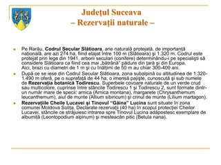 Judeţul Suceava
                           – Rezervaţii naturale –

   Pe Rarău, Codrul Secular Slătioara, arie naturală protejată, de importanţă
    naţională, are azi 274 ha, fiind etajat între 100 m (Slătioara) şi 1.320 m. Codrul este
    protejat prin lege din 1941, arborii seculari (conifere) determinându-i pe specialişti să
    considere Slătioara ca fiind cea mai „bătrână” pădure din ţară şi din Europa.
    Aici, brazi cu diametri de 1 m şi cu înălţimi de 50 m au chiar 300-400 ani.
   După ce se iese din Codrul Secular Slătioara, zona subalpină cu altitudinea de 1.320-
    1.490 m oferă, pe o suprafaţă de 44 ha, o imensă pajişte, cunoscută şi sub numele
    de Rezervaţia botanică Todirescu. Superbele covoare naturale de un verde crud
    sau multicolore, cuprinse între stâncile Todirescu 1 şi Todirescu 2, sunt formate dintr-
    un număr mare de specii: arnica (Arnica montana), margarete (Chrysanthemum
    leucanthemum), aiul de munte (Allium sibiricum) şi crinul de munte (Lilium martagon).
   Rezervaţiile Cheile Lucavei şi Tinovul “Găina” Lucina sunt situate în zona
    comunei Moldova Suliţa. Declarate rezervaţii (40 ha) în scopul protecţiei Cheilor
    Lucavei, stâncile ce străjuiesc intrarea spre Tinovul Lucina adăpostesc exemplare de
    albumiţă (Leontopodium alpinum) şi mesteacăn pitic (Betula nana).
 