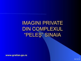 IMAGINI PRIVATE DIN COMPLEXUL “PELEŞ” SINAIA www.gratian.go.ro 