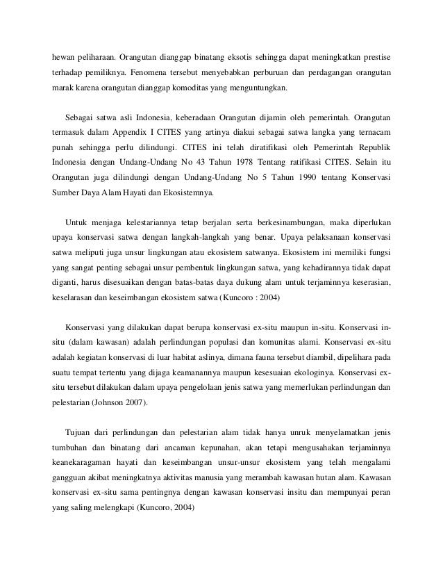  Contoh  Surat Izin Memelihara Hewan  Langka  Barisan Contoh 