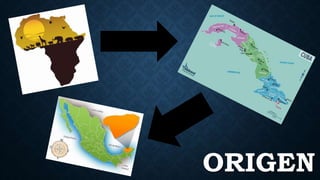 ORIGEN