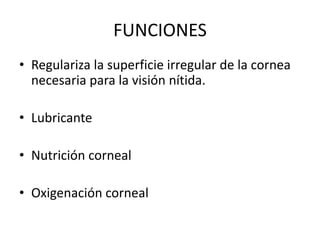 FUNCIONES
• Regulariza la superficie irregular de la cornea
necesaria para la visión nítida.
• Lubricante
• Nutrición corneal
• Oxigenación corneal
 