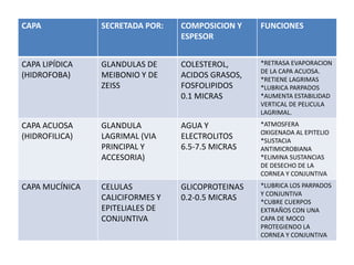 CAPA SECRETADA POR: COMPOSICION Y
ESPESOR
FUNCIONES
CAPA LIPÍDICA
(HIDROFOBA)
GLANDULAS DE
MEIBONIO Y DE
ZEISS
COLESTEROL,
ACIDOS GRASOS,
FOSFOLIPIDOS
0.1 MICRAS
*RETRASA EVAPORACION
DE LA CAPA ACUOSA.
*RETIENE LAGRIMAS
*LUBRICA PARPADOS
*AUMENTA ESTABILIDAD
VERTICAL DE PELICULA
LAGRIMAL.
CAPA ACUOSA
(HIDROFILICA)
GLANDULA
LAGRIMAL (VIA
PRINCIPAL Y
ACCESORIA)
AGUA Y
ELECTROLITOS
6.5-7.5 MICRAS
*ATMOSFERA
OXIGENADA AL EPITELIO
*SUSTACIA
ANTIMICROBIANA
*ELIMINA SUSTANCIAS
DE DESECHO DE LA
CORNEA Y CONJUNTIVA
CAPA MUCÍNICA CELULAS
CALICIFORMES Y
EPITELIALES DE
CONJUNTIVA
GLICOPROTEINAS
0.2-0.5 MICRAS
*LUBRICA LOS PARPADOS
Y CONJUNTIVA
*CUBRE CUERPOS
EXTRAÑOS CON UNA
CAPA DE MOCO
PROTEGIENDO LA
CORNEA Y CONJUNTIVA
 