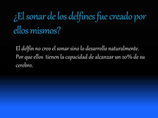 ¿Elsonardelosdelfinesfuecreadopor
ellosmismos?
El delfín no creo el sonar sino lo desarrollo naturalmente.
Por que ellos tienen la capacidad de alcanzar un 20% de su
cerebro.
 