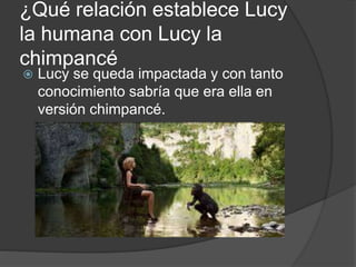 ¿Qué relación establece Lucy
la humana con Lucy la
chimpancé
 Lucy se queda impactada y con tanto
conocimiento sabría que era ella en
versión chimpancé.
 