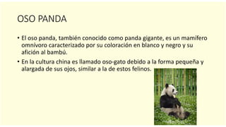 OSO PANDA
• El oso panda, también conocido como panda gigante, es un mamífero
omnívoro caracterizado por su coloración en blanco y negro y su
afición al bambú.
• En la cultura china es llamado oso-gato debido a la forma pequeña y
alargada de sus ojos, similar a la de estos felinos.
 