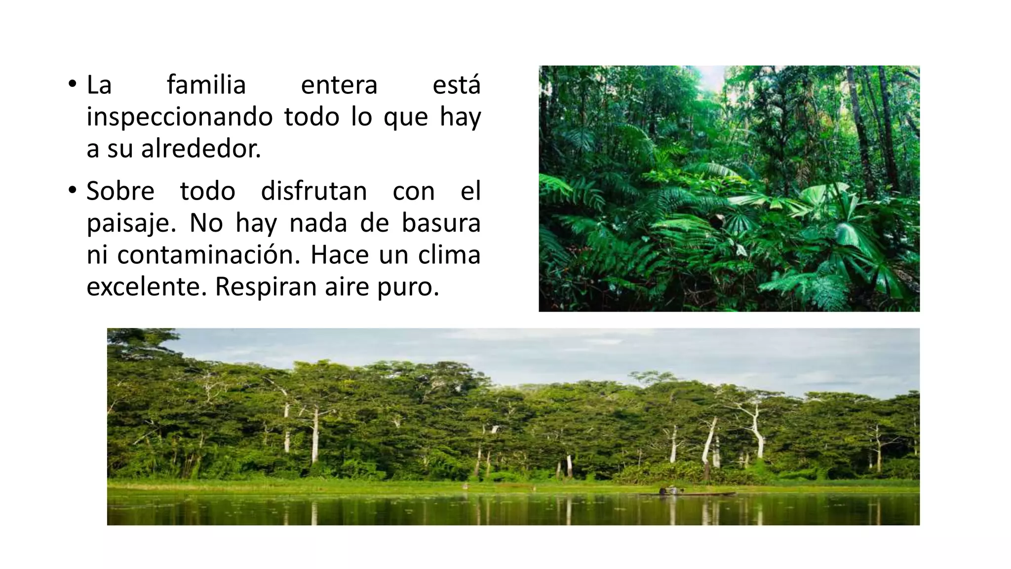 Cuento "Peligro en la selva" | PPT