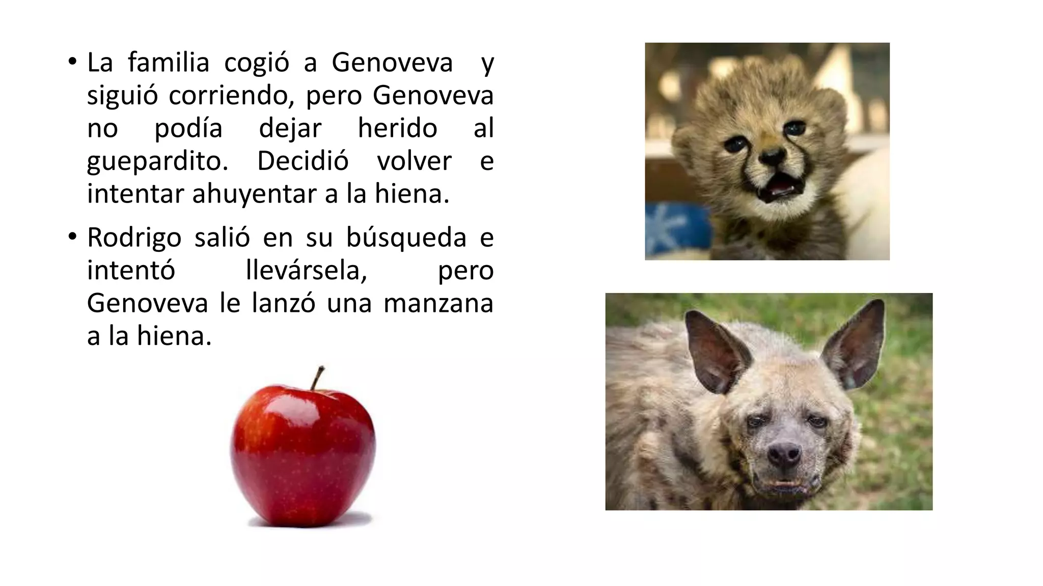 Cuento "Peligro en la selva" | PPT